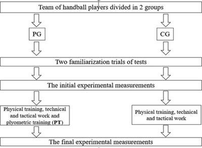 The effects of 10-week plyometric training program on athletic performance in youth female handball players